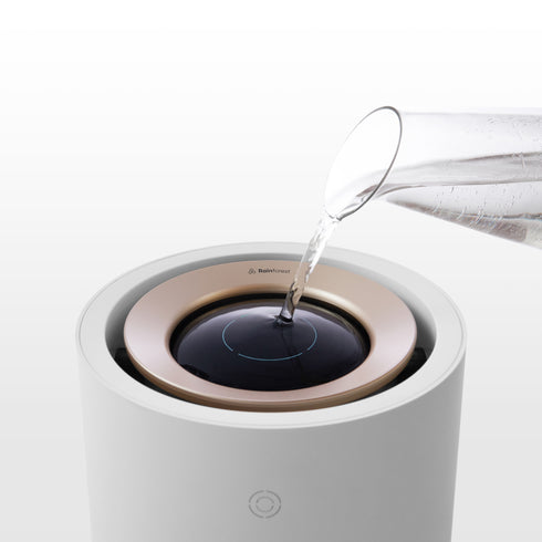 Rainforest Humidifier